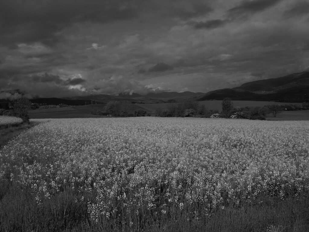 La Cerdanya